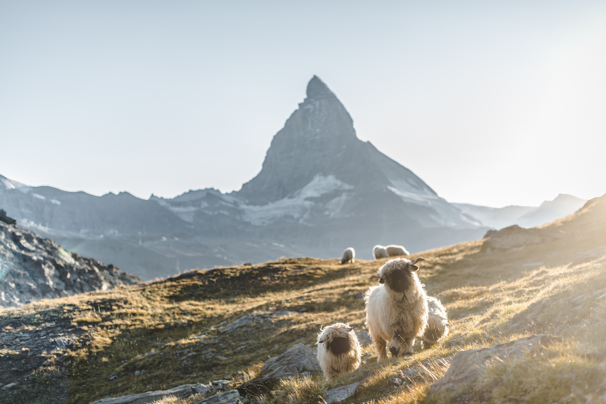 Jacek Wejster mountain photographer in Zermatt